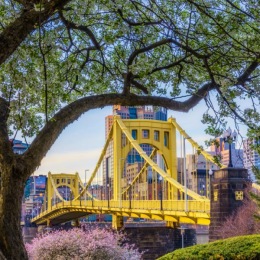 Happy First Day of Spring to all! 🌷🌼
 #spring #fullbloom #Clydestreetapartments Instagram post from @clydestreetapartments on March 19, 2024 16:07:12pm